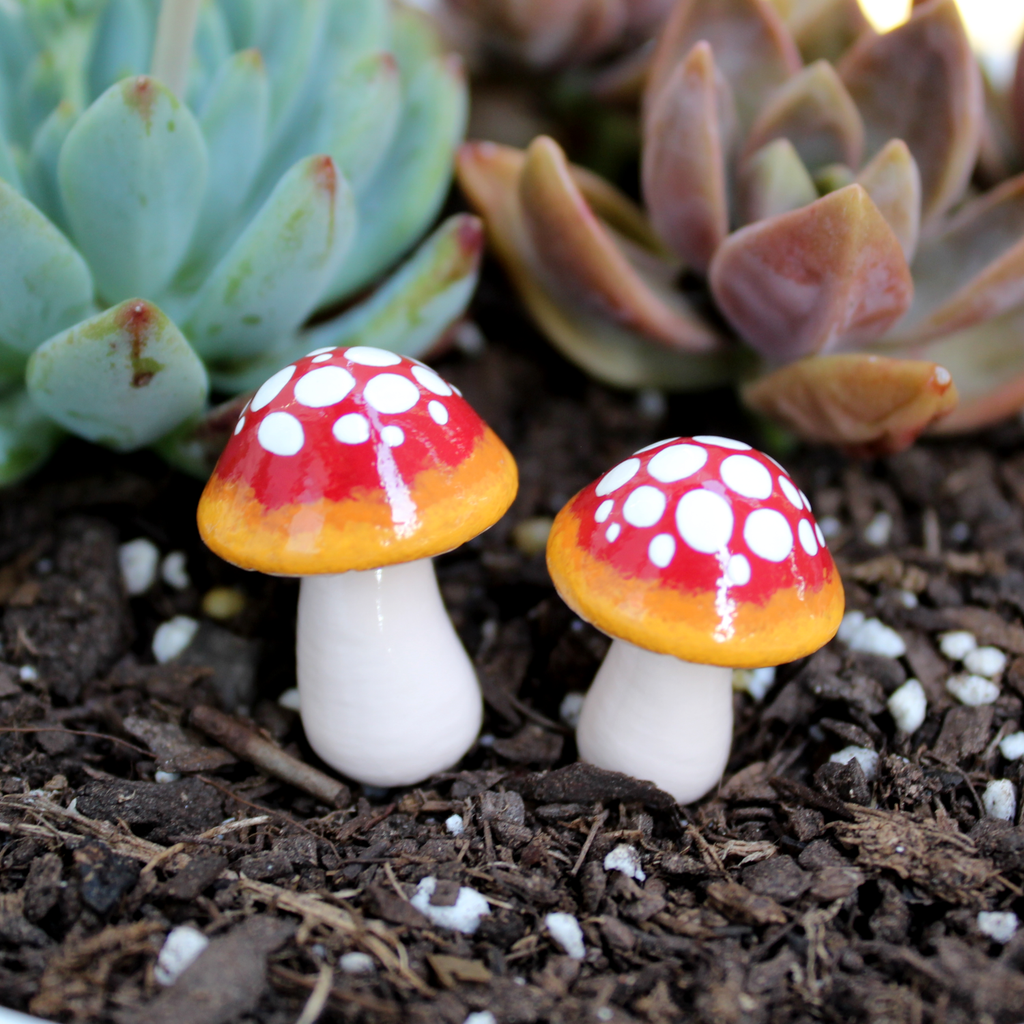 Red Ombre Fairy Mushrooms