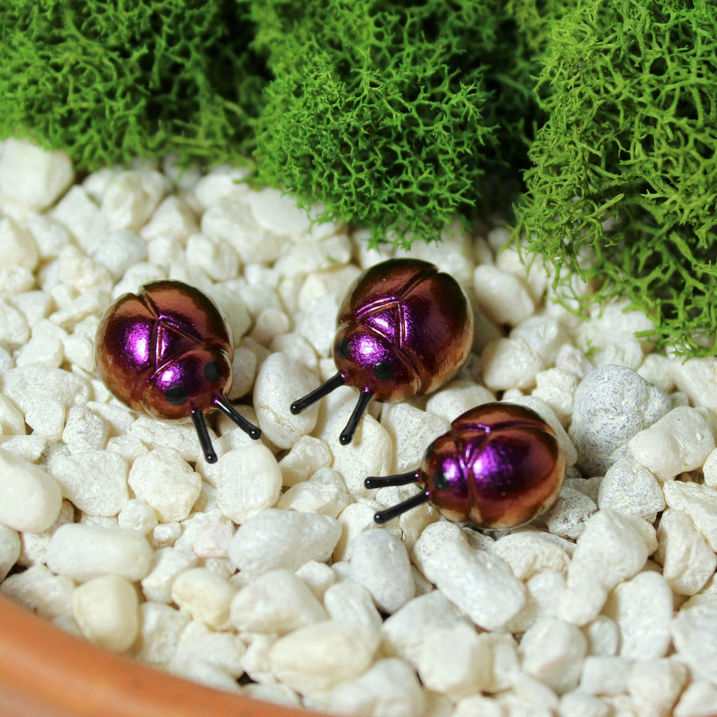 Three miniature beetle figurines sit in a moss garden. The beetles have iridescent magenta/red shells