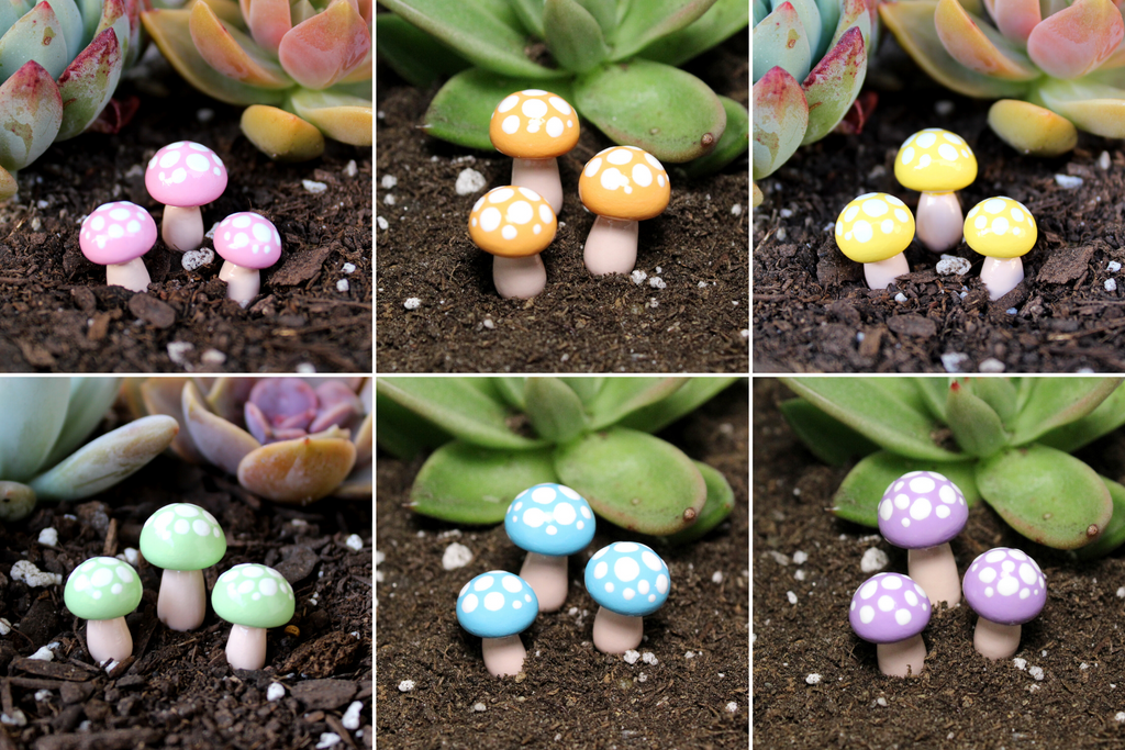 Rainbow Fairy Garden Kit