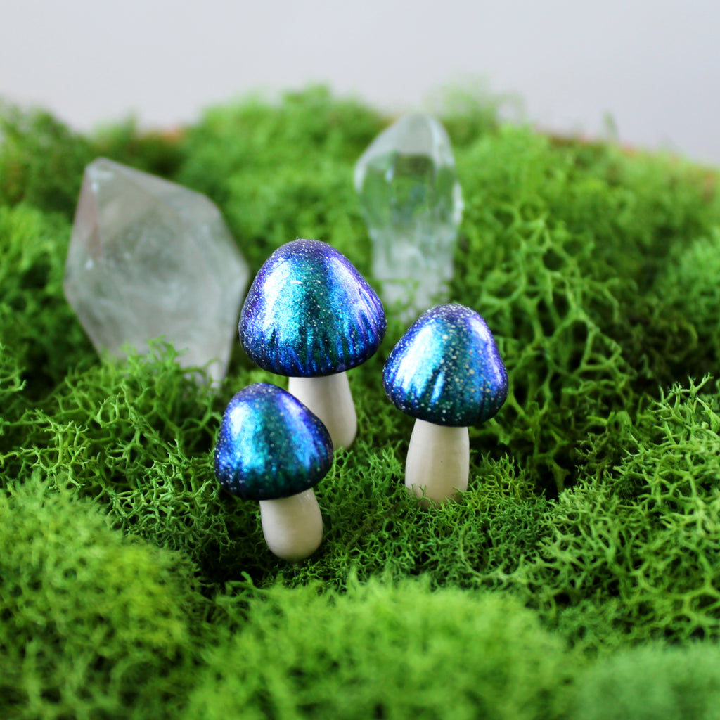 Galaxy Fairy Mushrooms