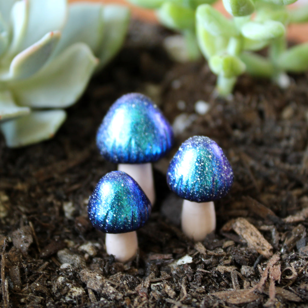 Galaxy Fairy Mushrooms