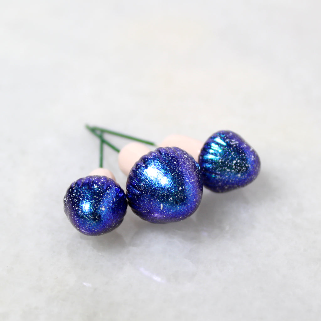 Galaxy Fairy Mushrooms