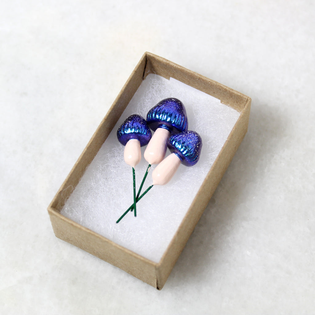 Galaxy Fairy Mushrooms