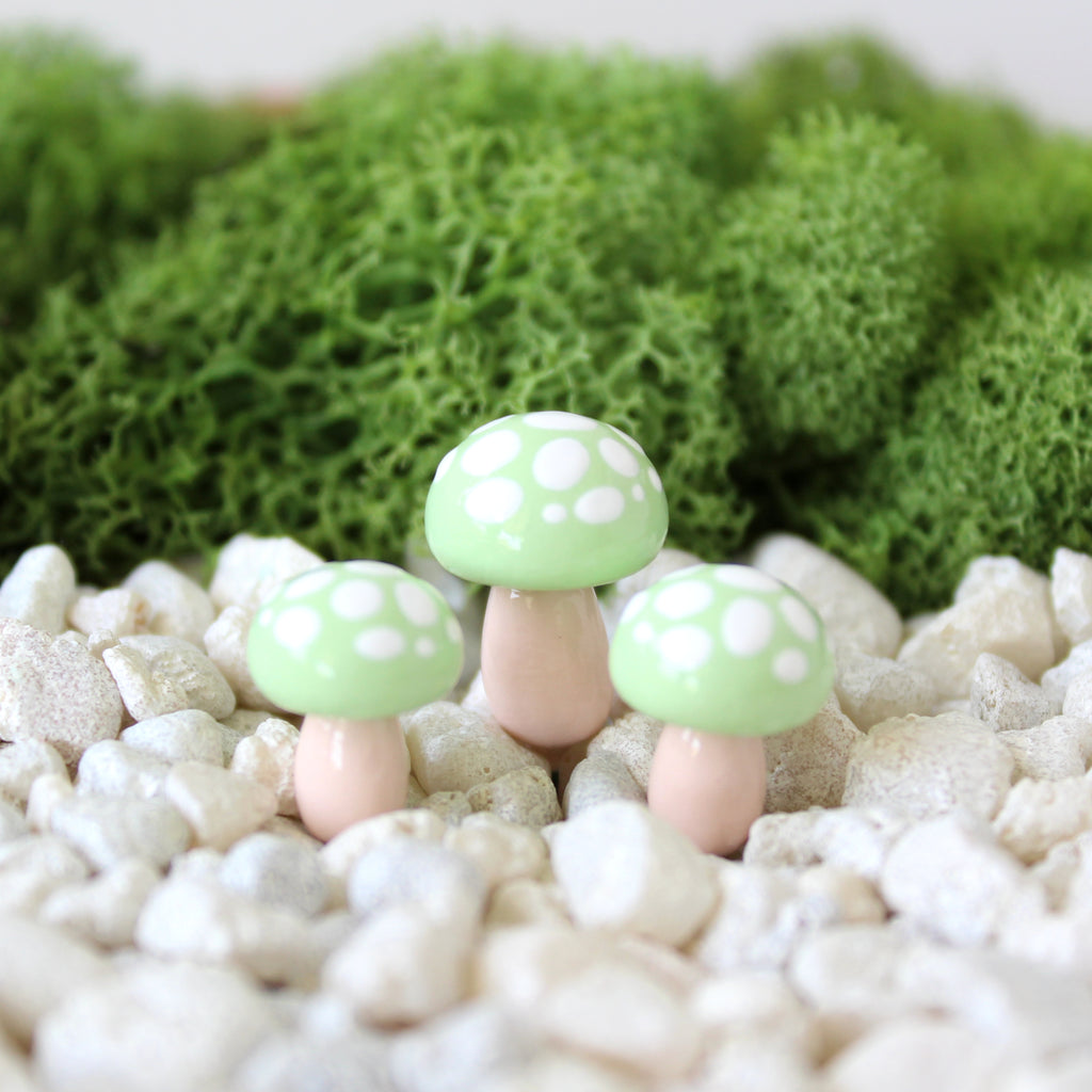Three pastel green mushrooms with white spots are sticking out of a planter pot filled with pebbles and moss.