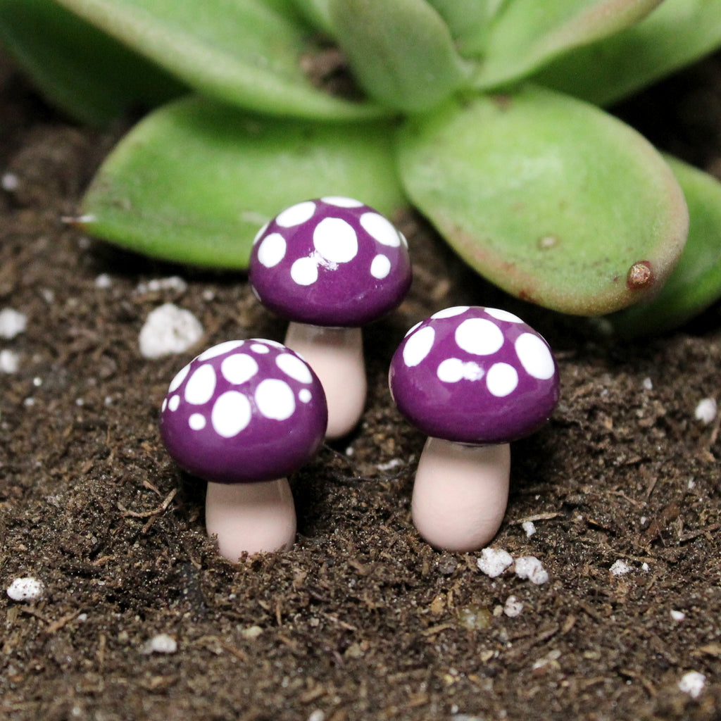 Plum Fairy Toadstools