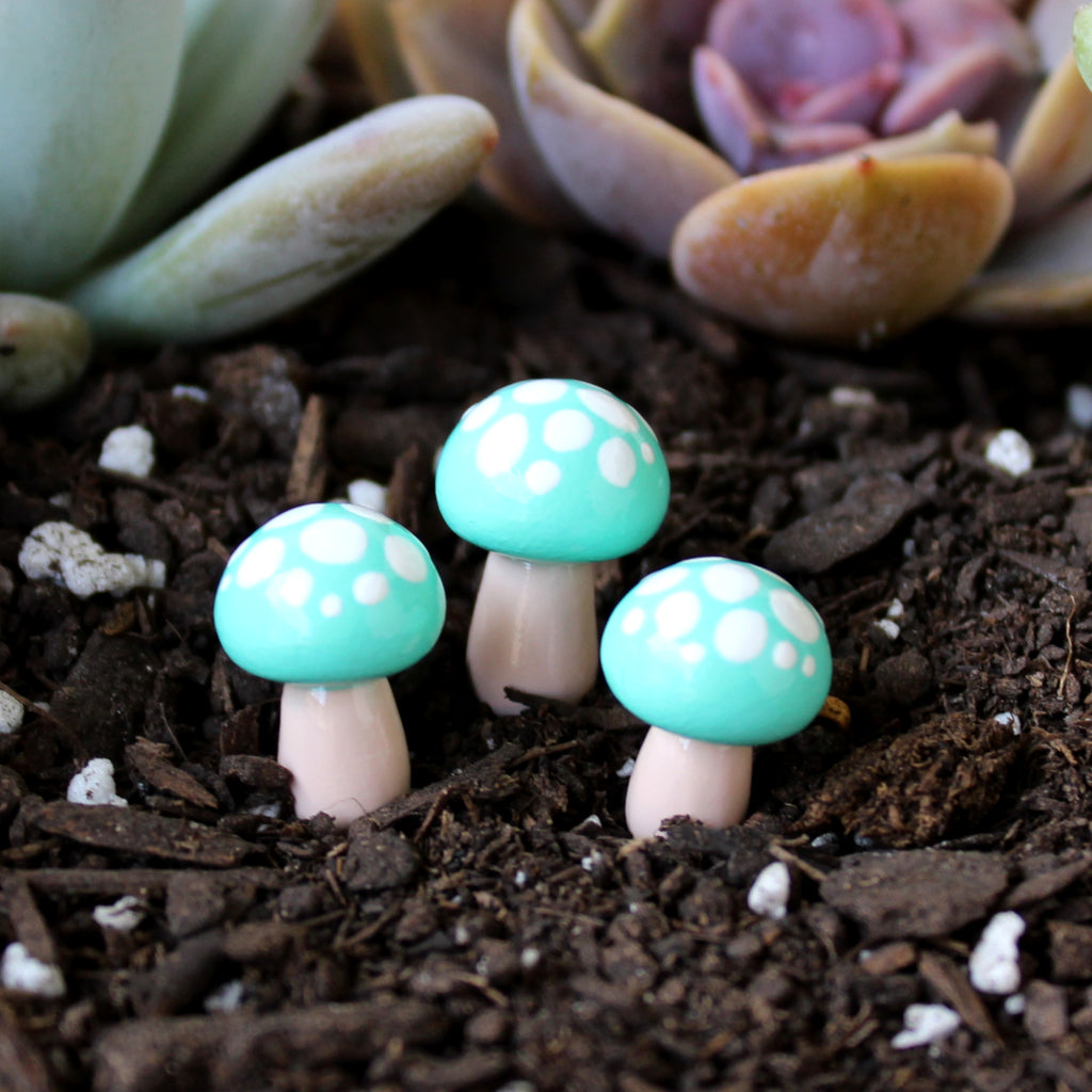 Seafoam Fairy Toadstools