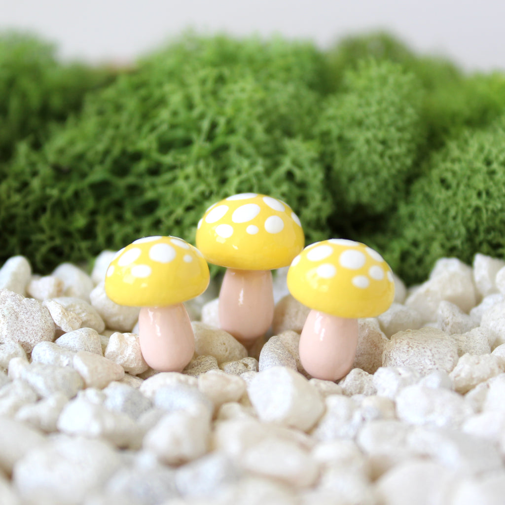 Three yellow mushrooms with white spots are sticking out of a planter pot filled with pebbles and moss.