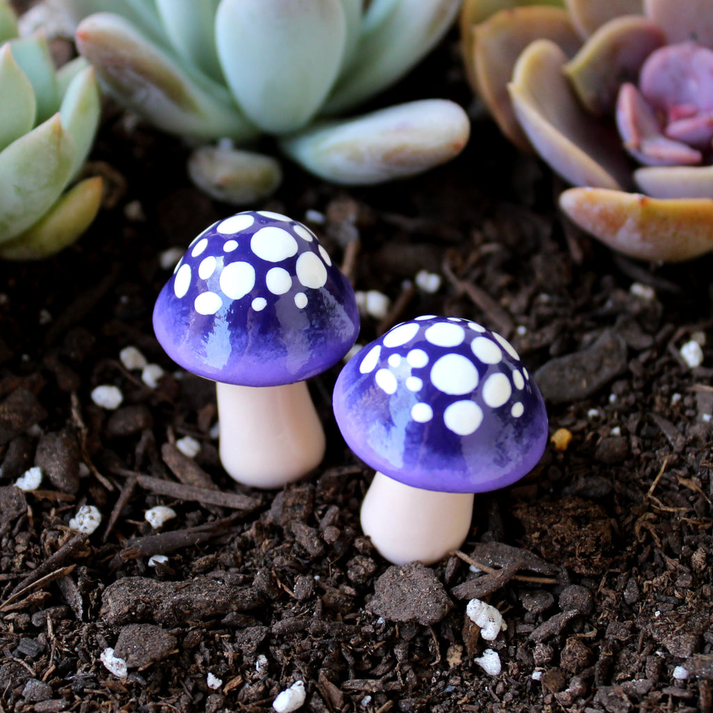 Purple Ombre Fairy Mushrooms