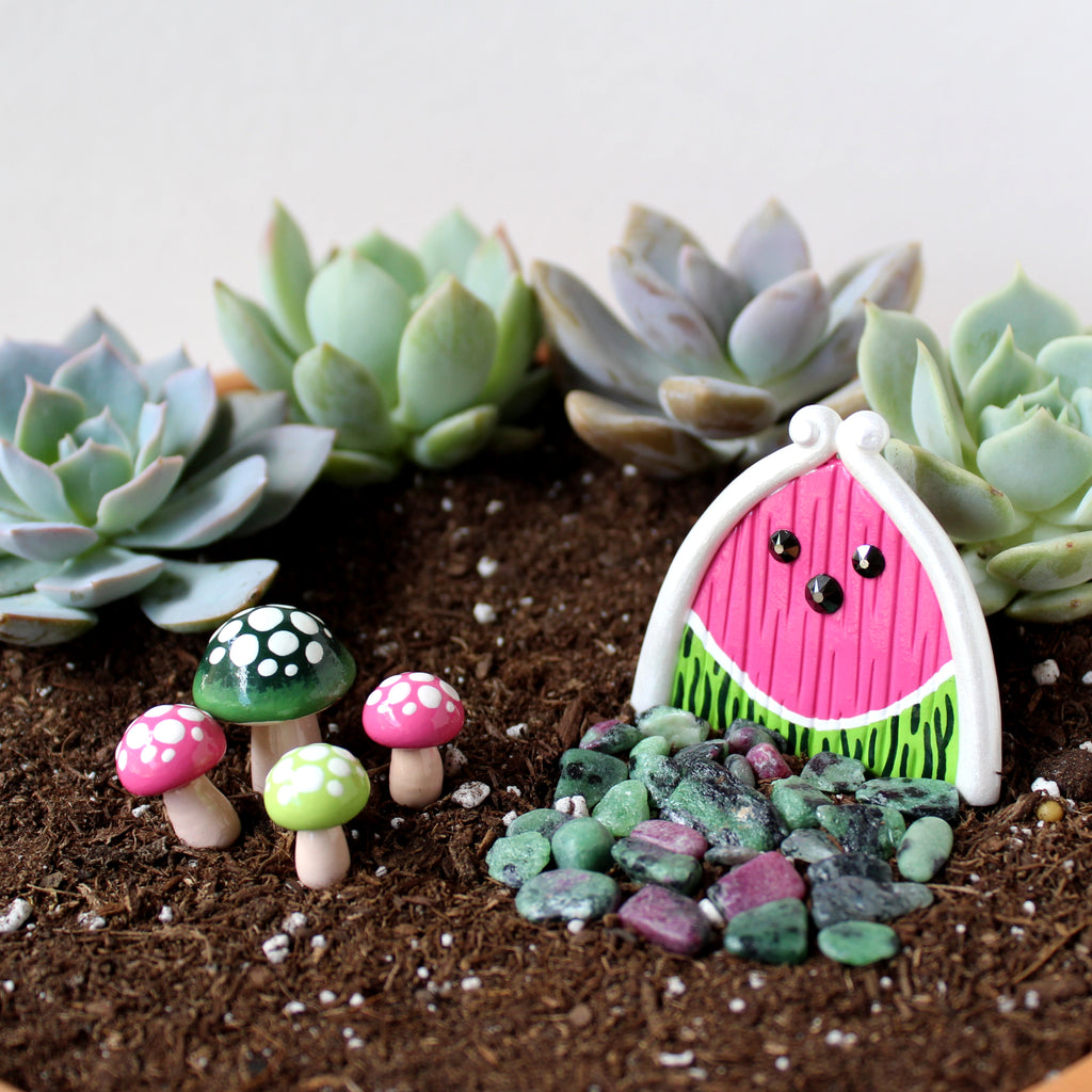 Watermelon Fairy Garden Kit