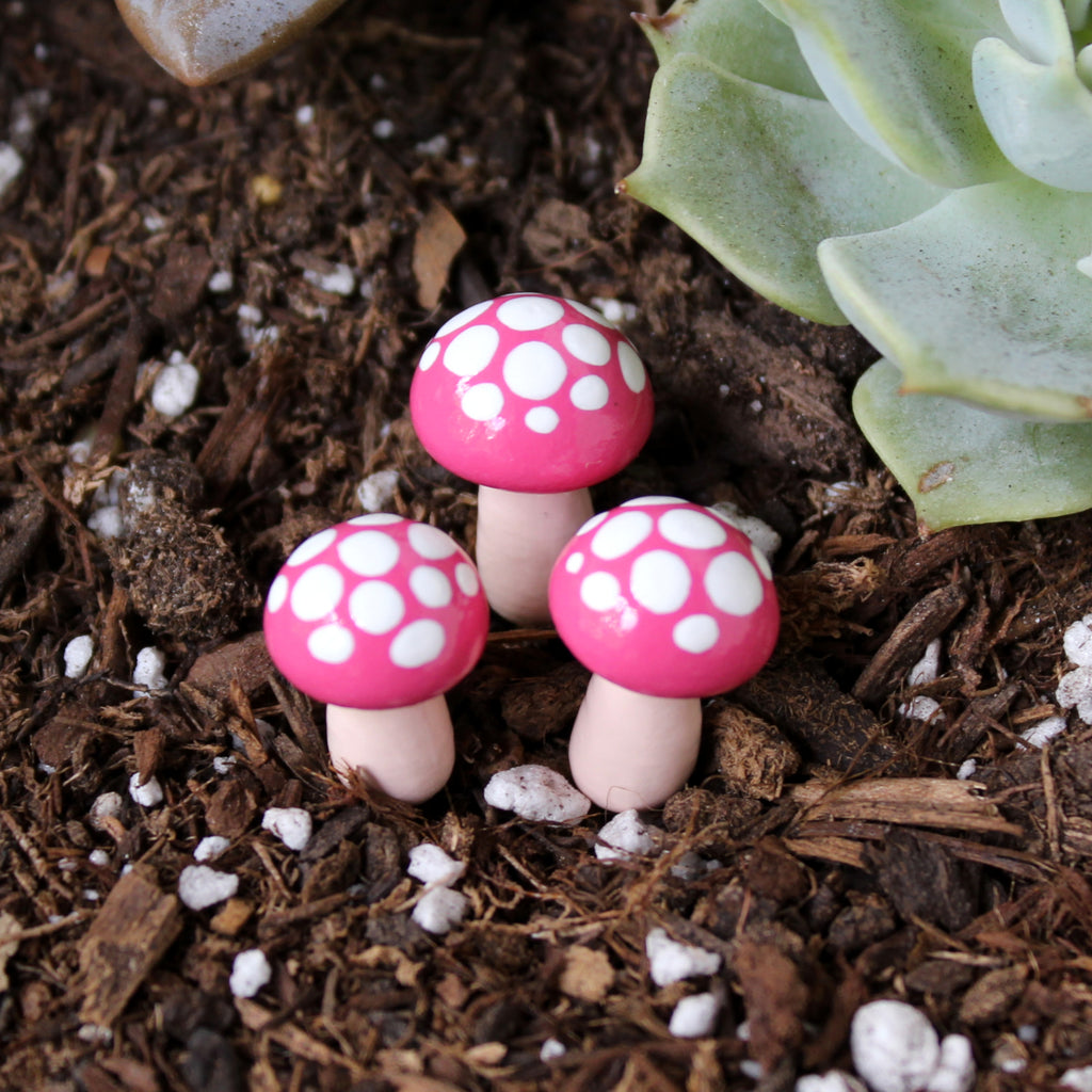 Watermelon Toadstools (Set of 4)