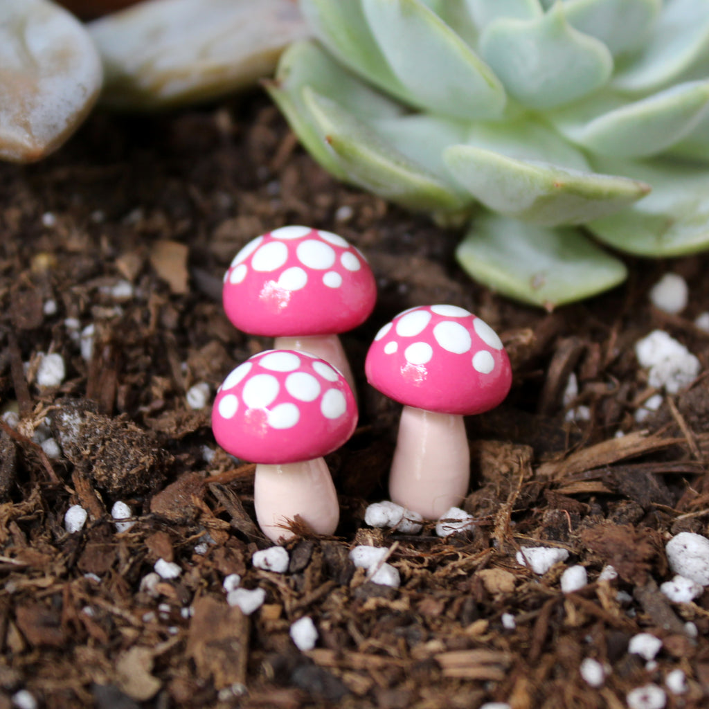 Watermelon Toadstools (Set of 4)